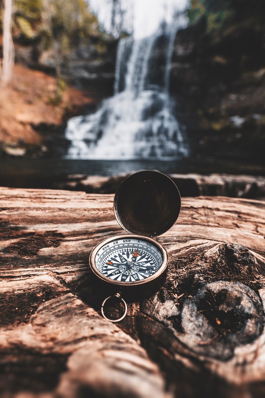 compass, nature, survival-5063085.jpg